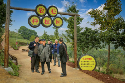 手绘乡村画卷 助力乡村振兴——三峡文艺创作者为基层百姓送上“精神产品”